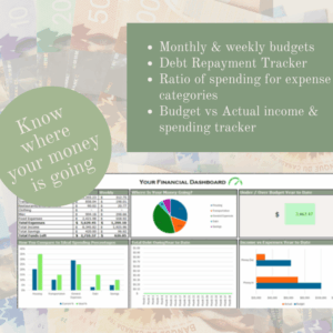Budget/Financial Dashboard